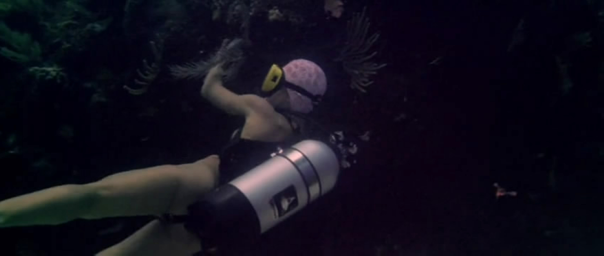 生人回避2剧照的剧照