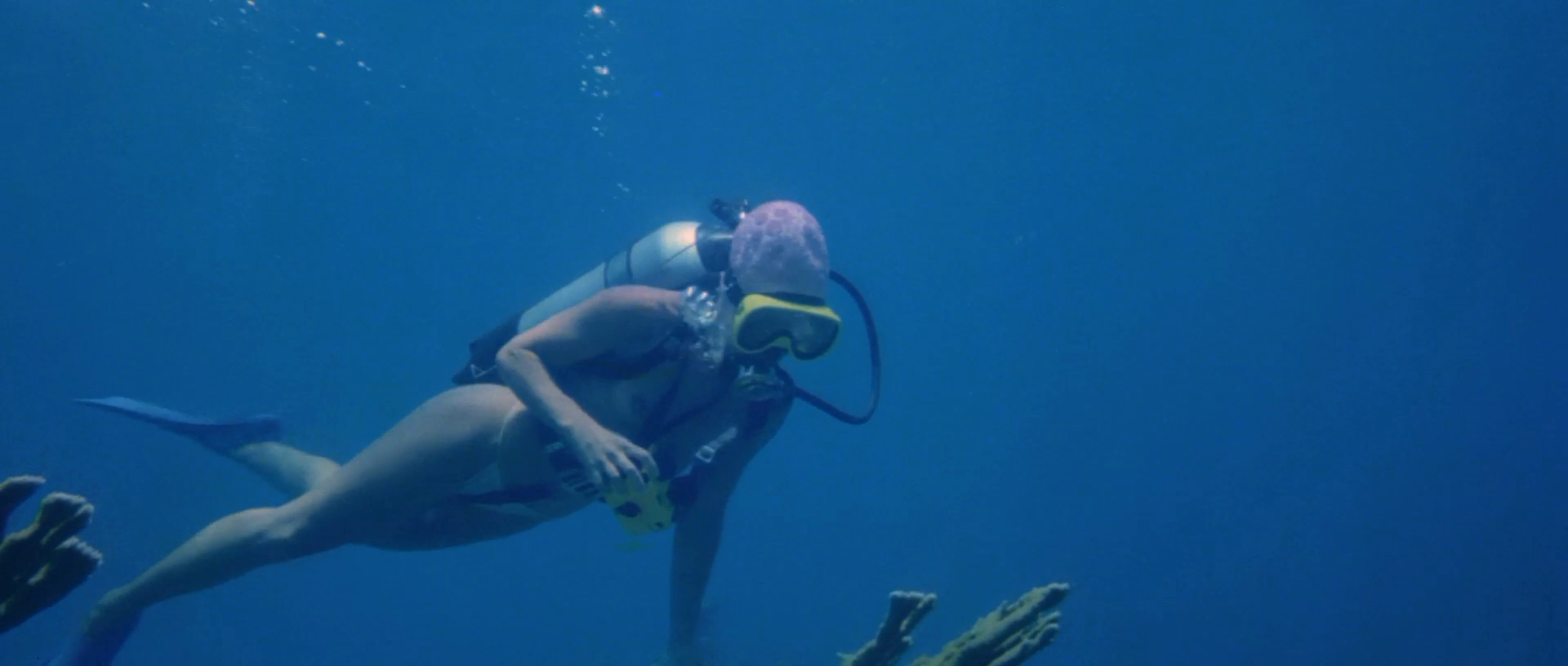 生人回避2剧照的剧照