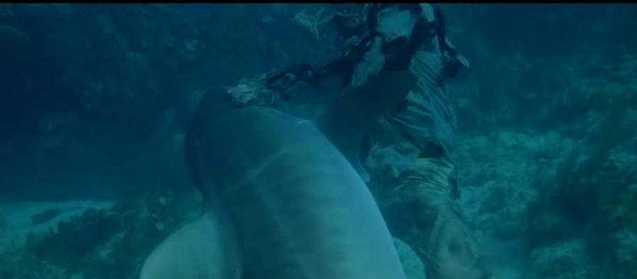 生人回避2剧照的剧照