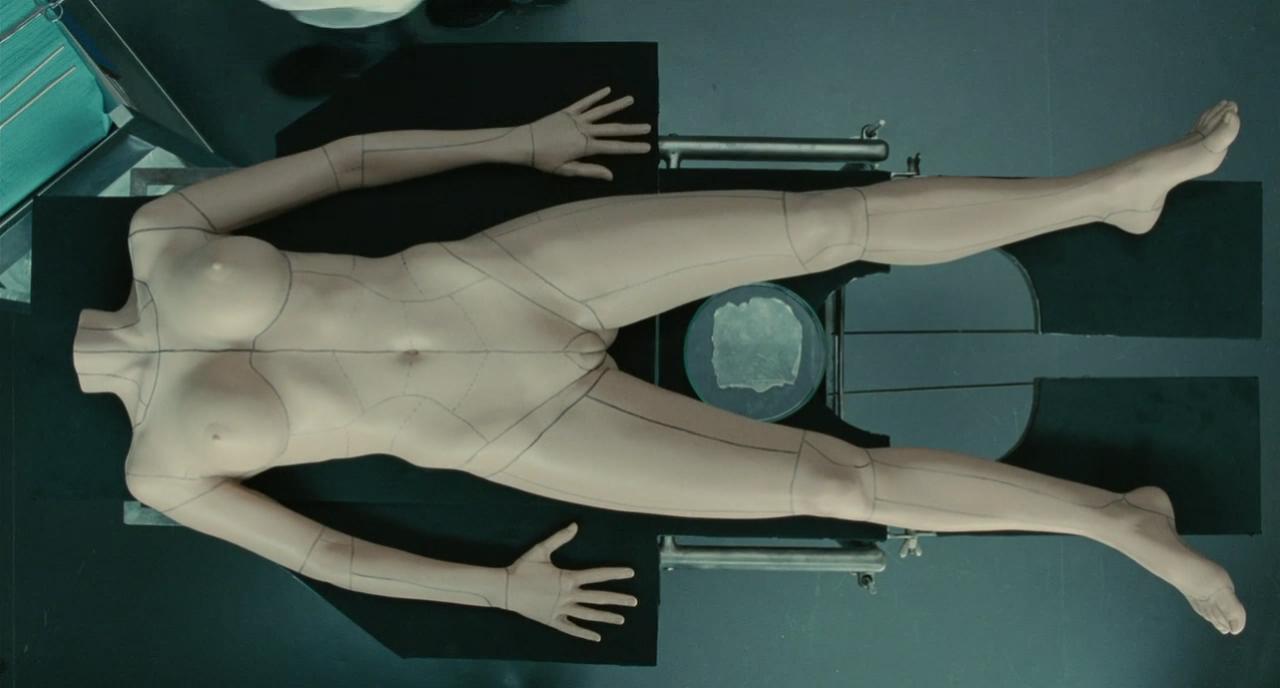 吾栖之肤剧照的剧照