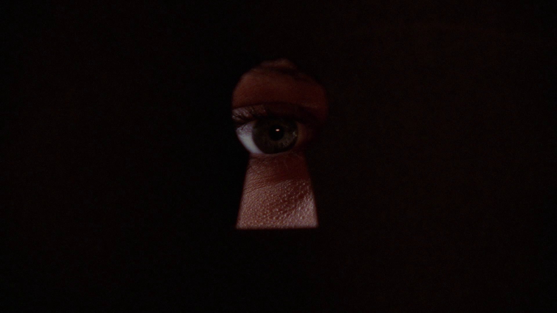 极度恐慌剧照的剧照