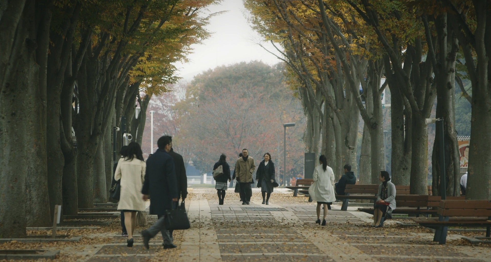 幻想游戏剧照的剧照