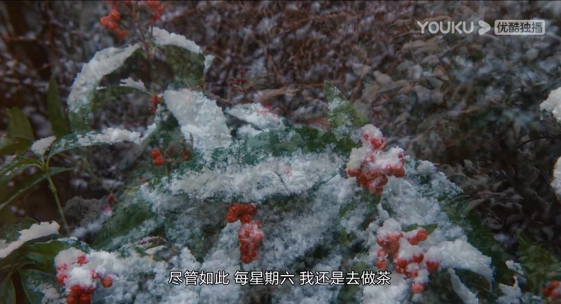 日日是好日剧照的剧照