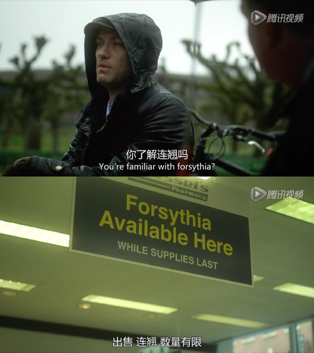 传染病剧照的剧照