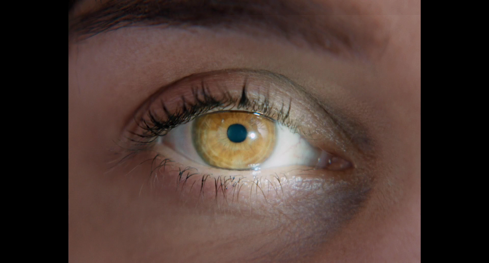 天空中的露西剧照的剧照