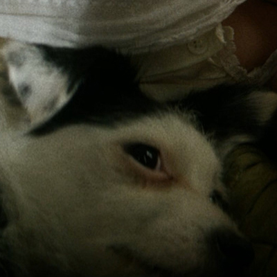 热气球飞行家剧照的剧照