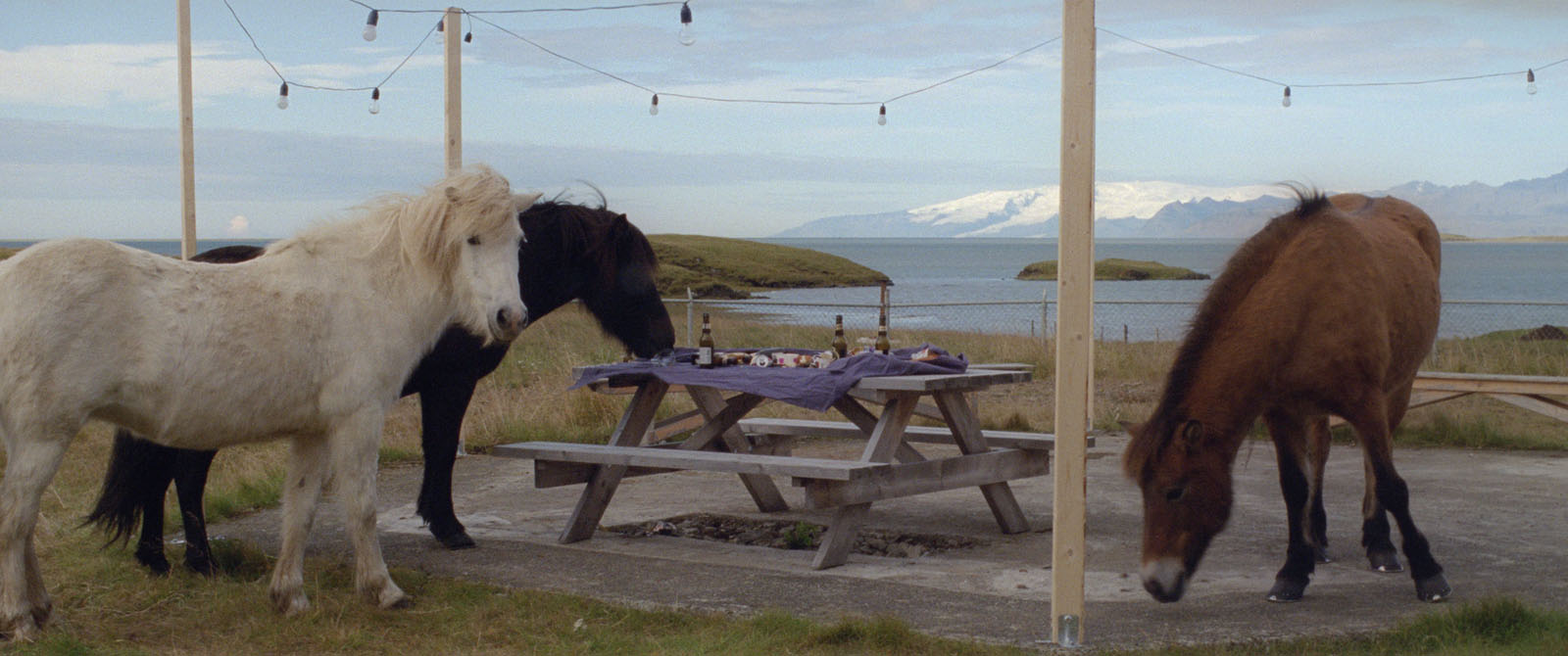 白色白色的一天剧照的剧照