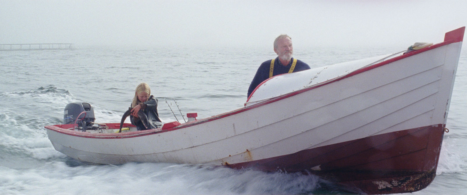 白色白色的一天剧照的剧照