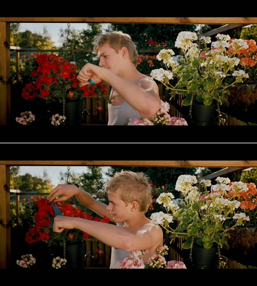 养子十五岁剧照的剧照