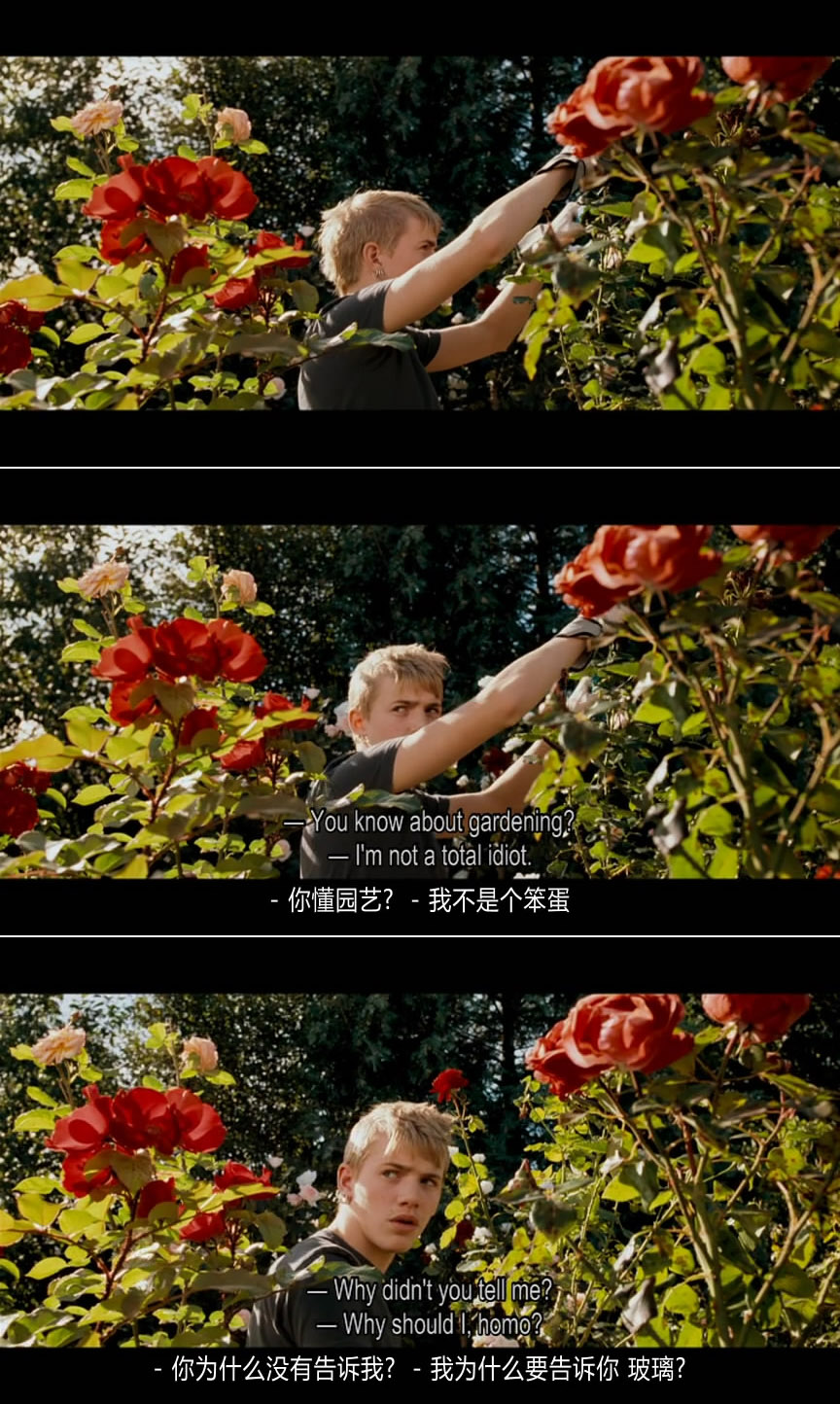 养子十五岁剧照的剧照