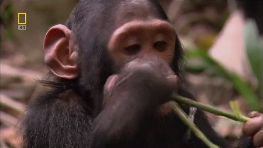 神奇的人体机器剧照的剧照