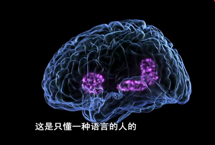 神奇的人体机器剧照的剧照