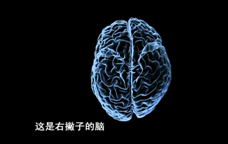 神奇的人体机器剧照的剧照