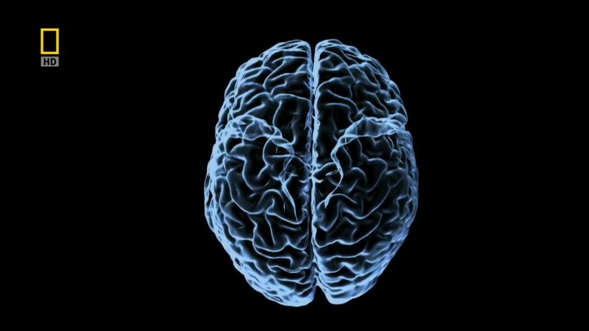 神奇的人体机器剧照的剧照