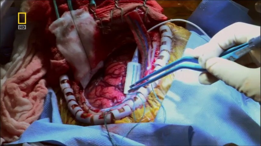 神奇的人体机器剧照的剧照