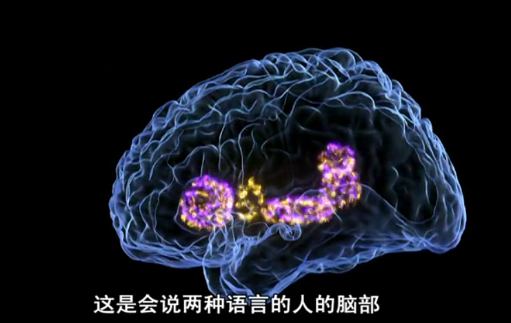 神奇的人体机器剧照的剧照