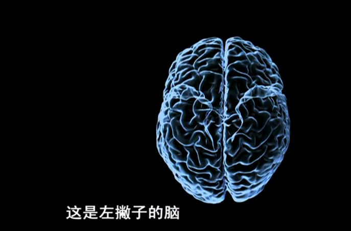 神奇的人体机器剧照的剧照