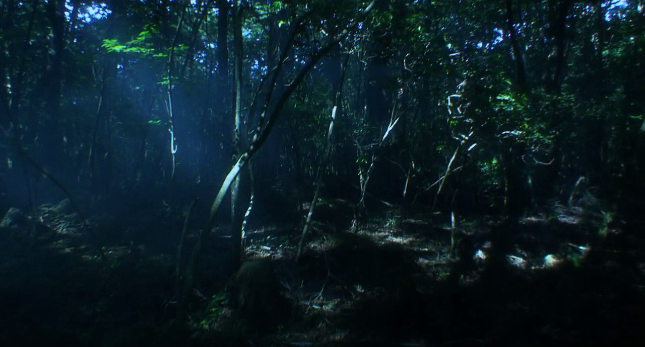 战栗迷宫3D剧照的剧照