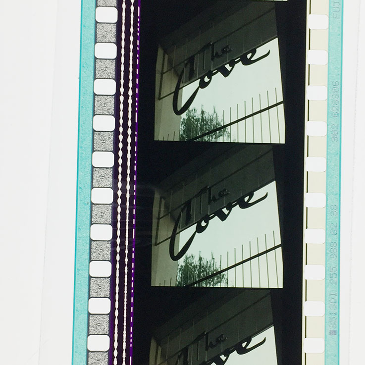 水中女妖剧照的剧照