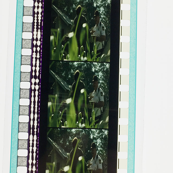 水中女妖剧照的剧照