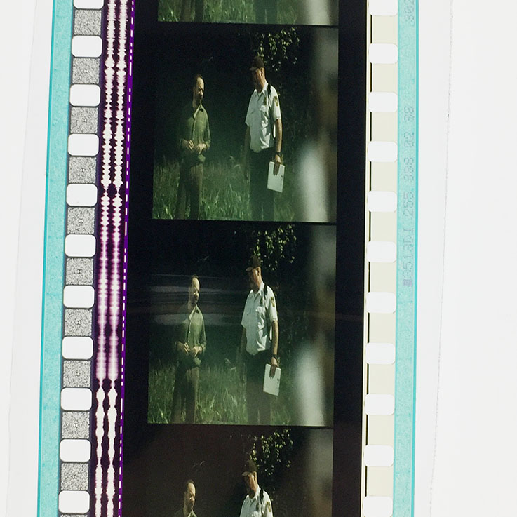 水中女妖剧照的剧照