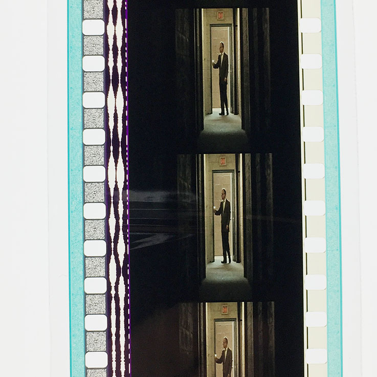 水中女妖剧照的剧照