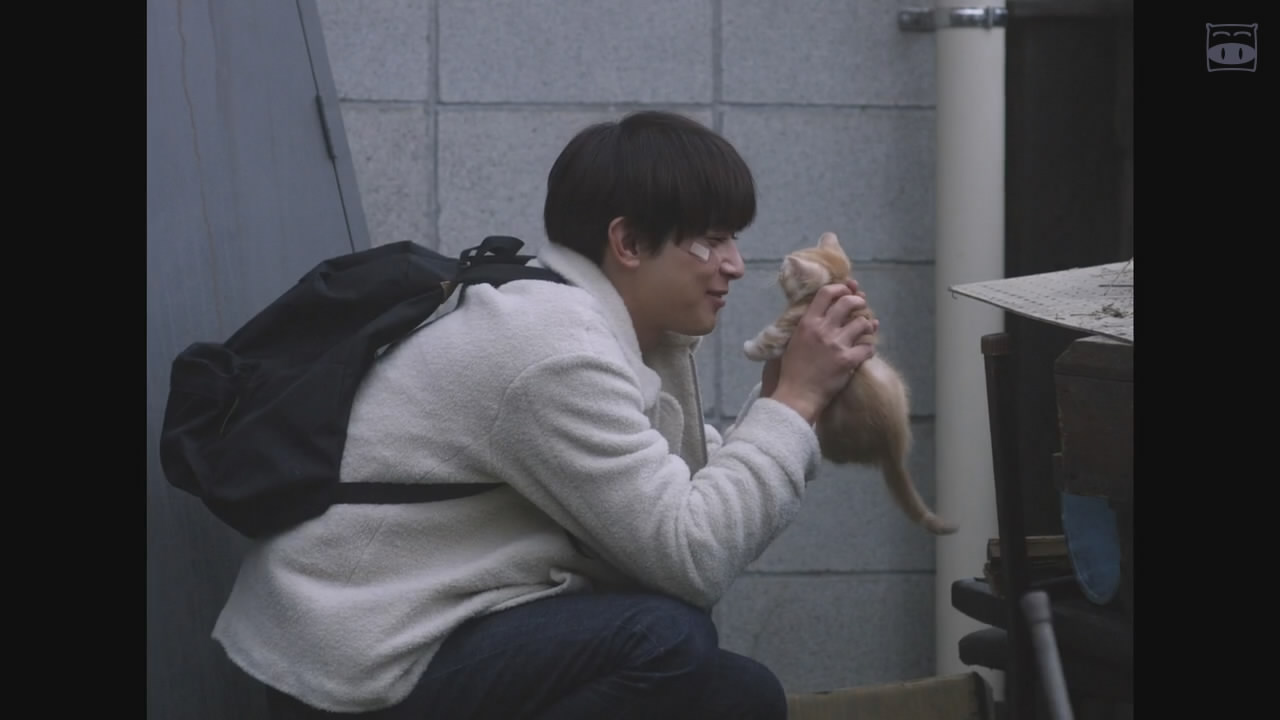 河畔剧照的剧照