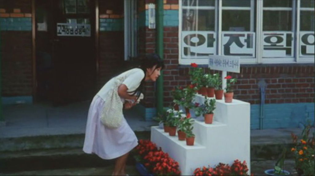 情书剧照的剧照