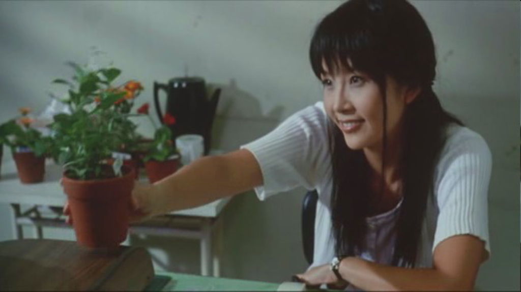 情书剧照的剧照