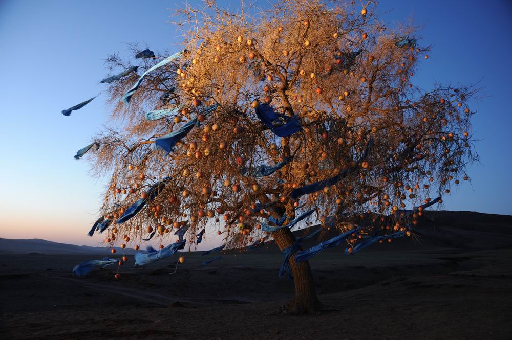 额吉剧照的剧照