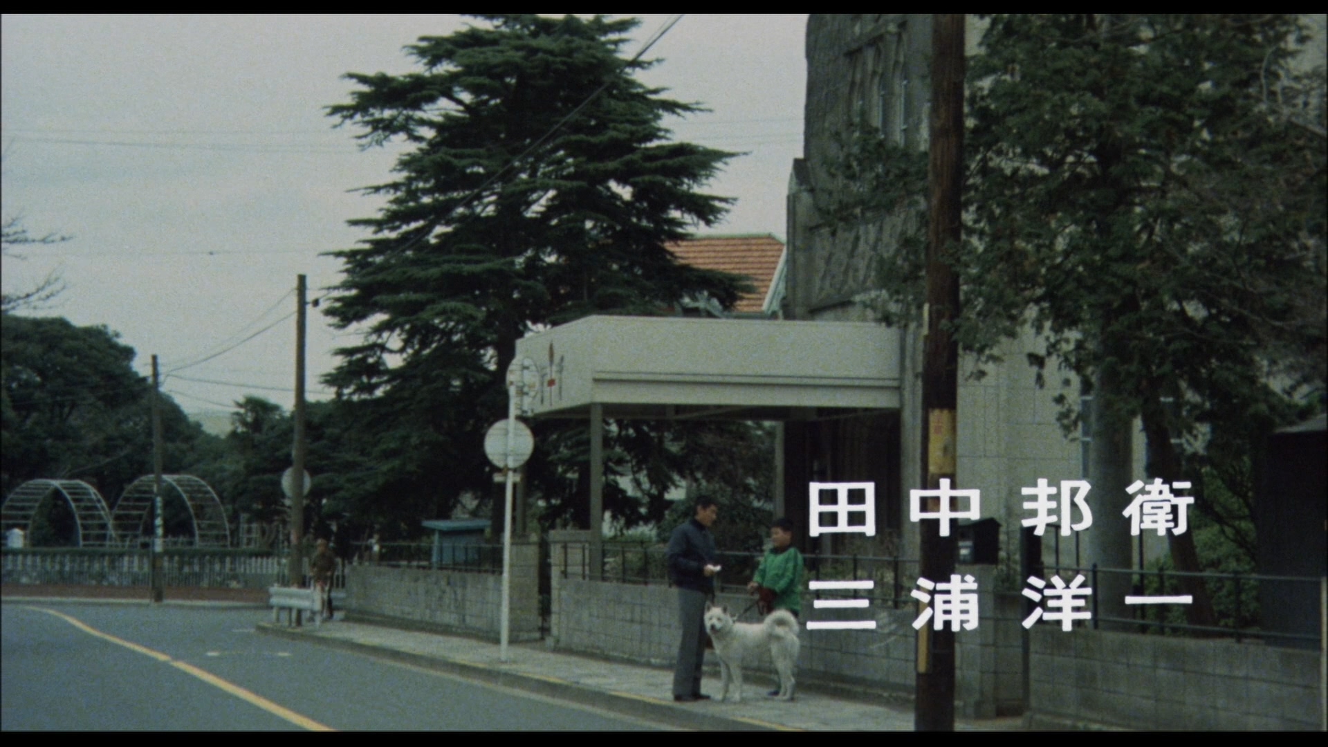 冬之华剧照的剧照