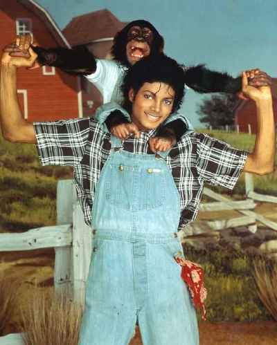 颤栗剧照的剧照