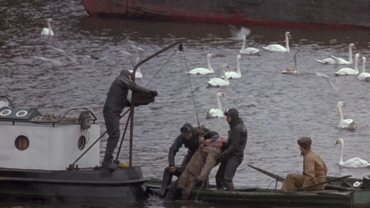 摇摆狂潮剧照的剧照