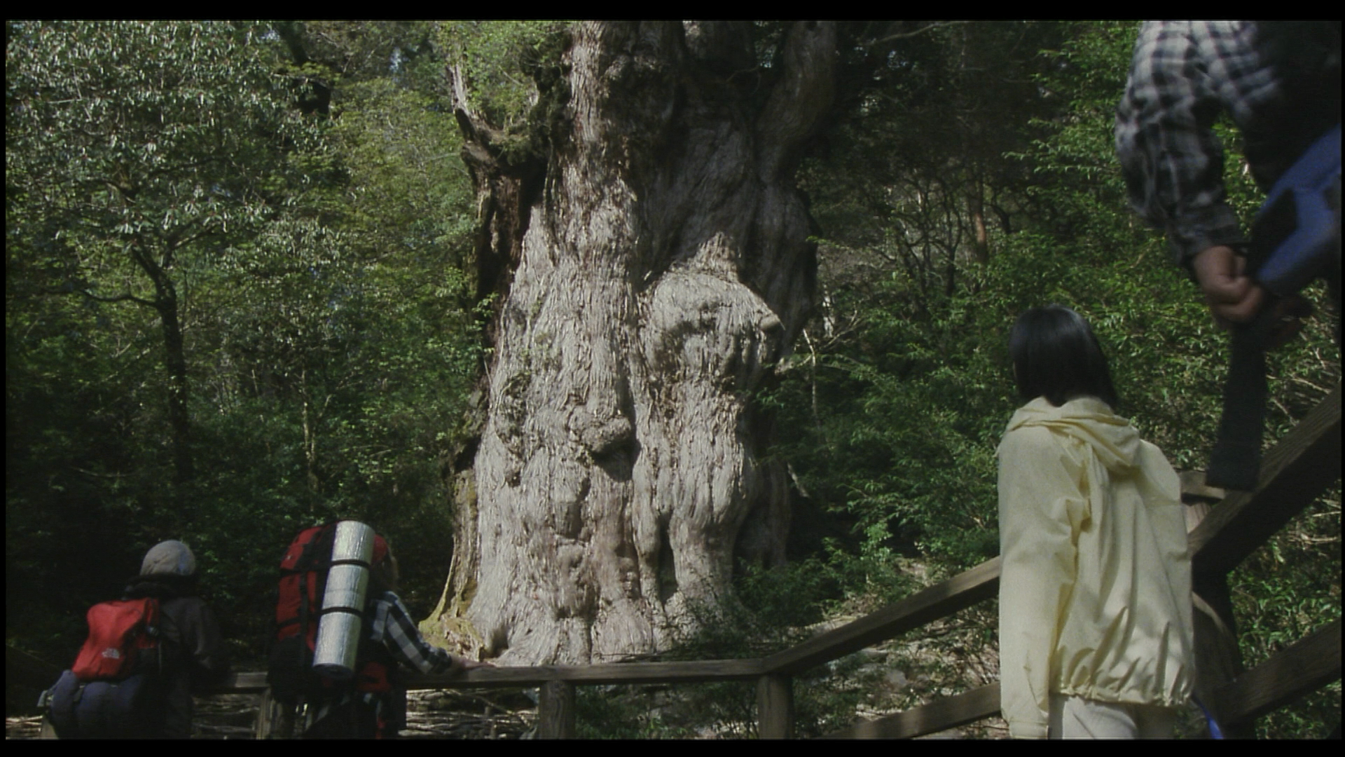 十五岁：学校4剧照的剧照