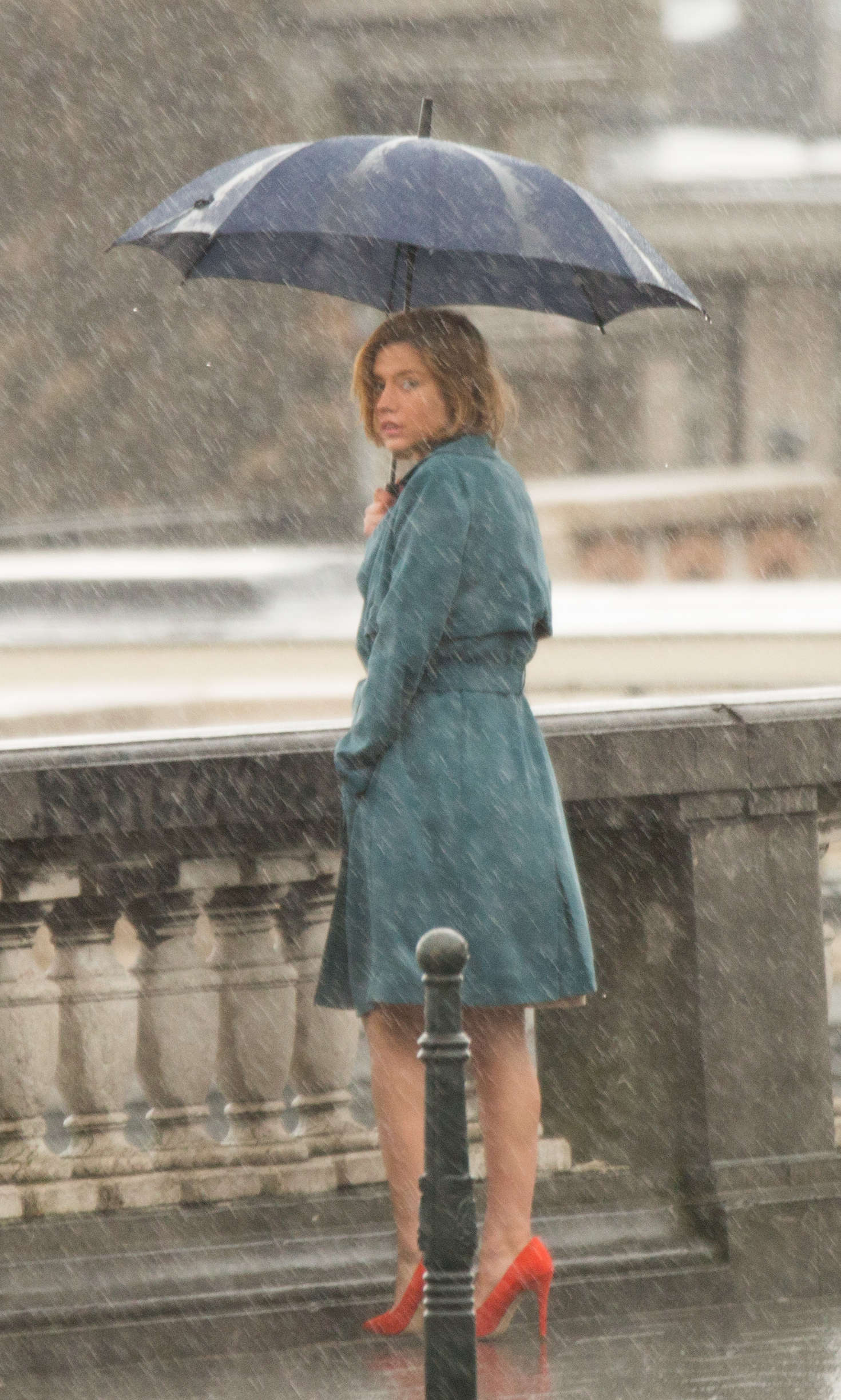 忠诚剧照的剧照