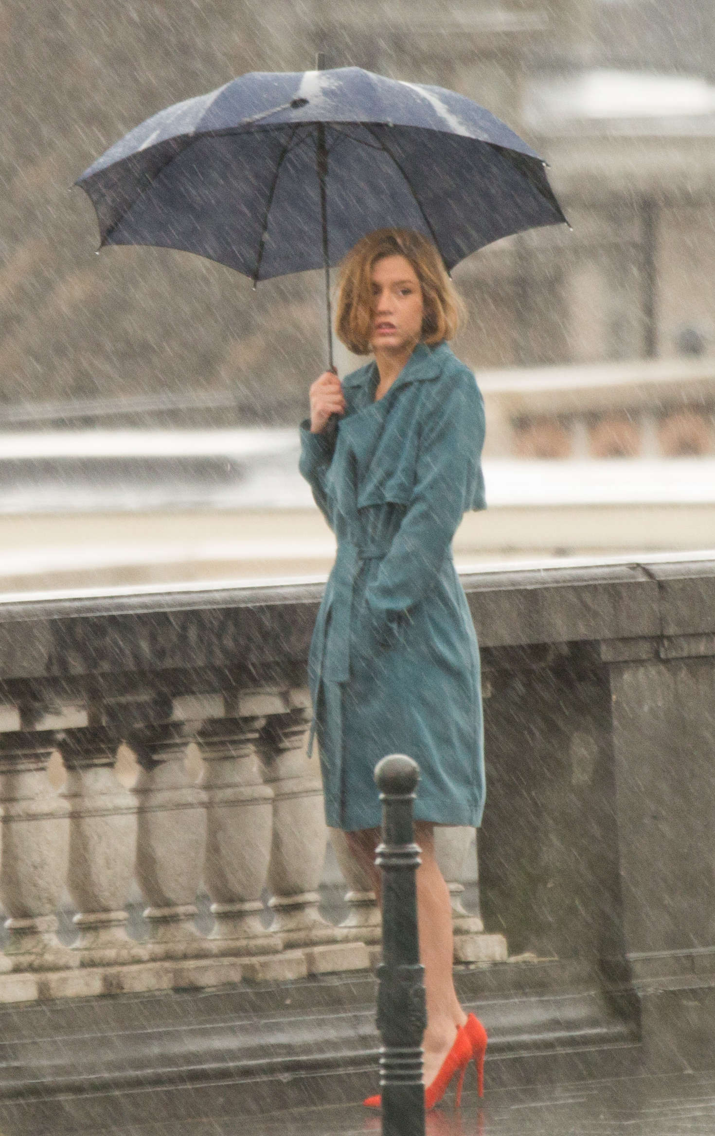 忠诚剧照的剧照