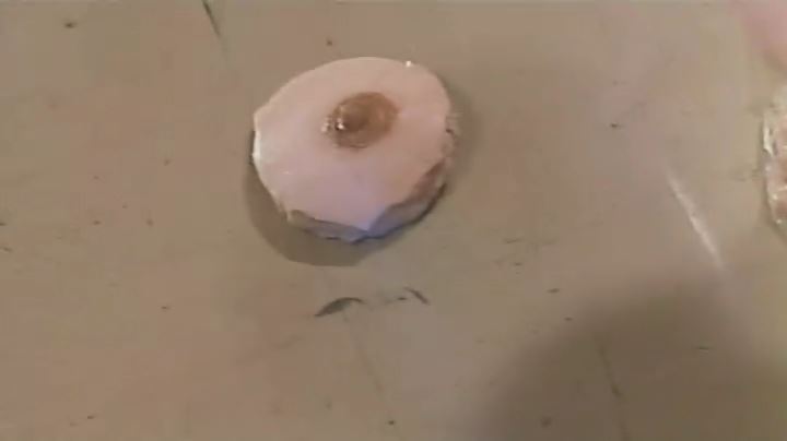 羔羊医生剧照的剧照