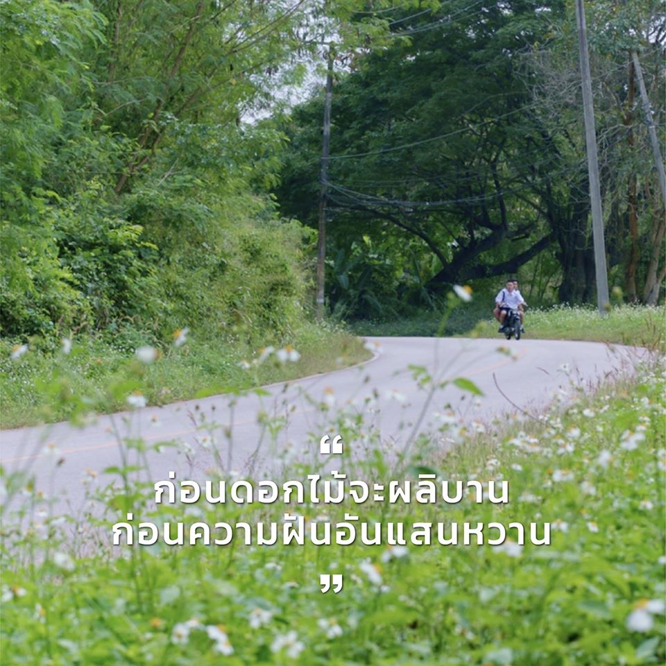 譬如朝露剧照的剧照