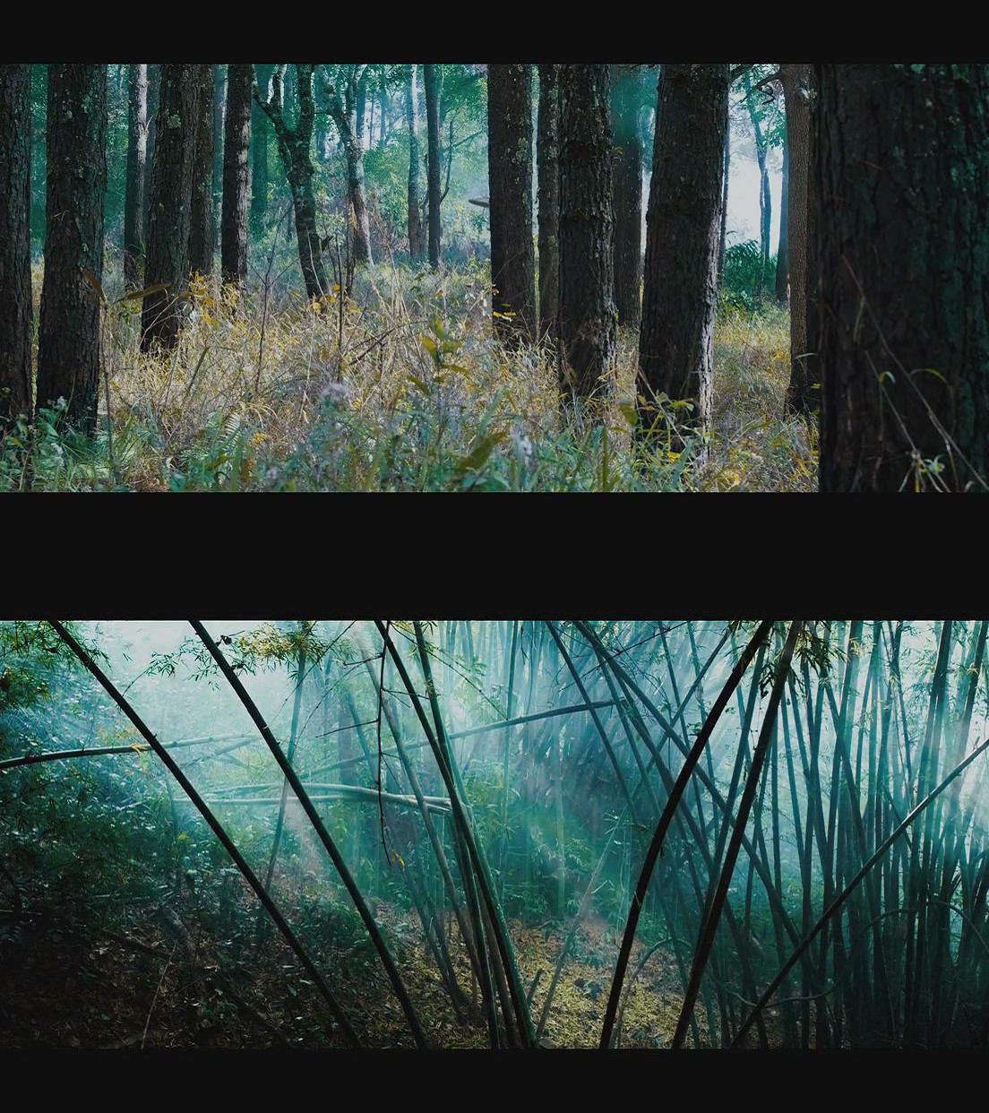 善恶无赦剧照的剧照