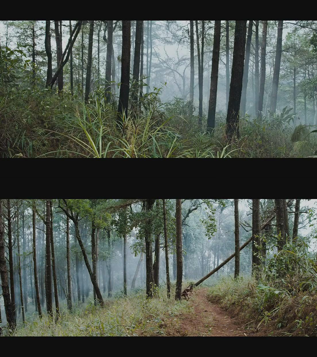 善恶无赦剧照的剧照