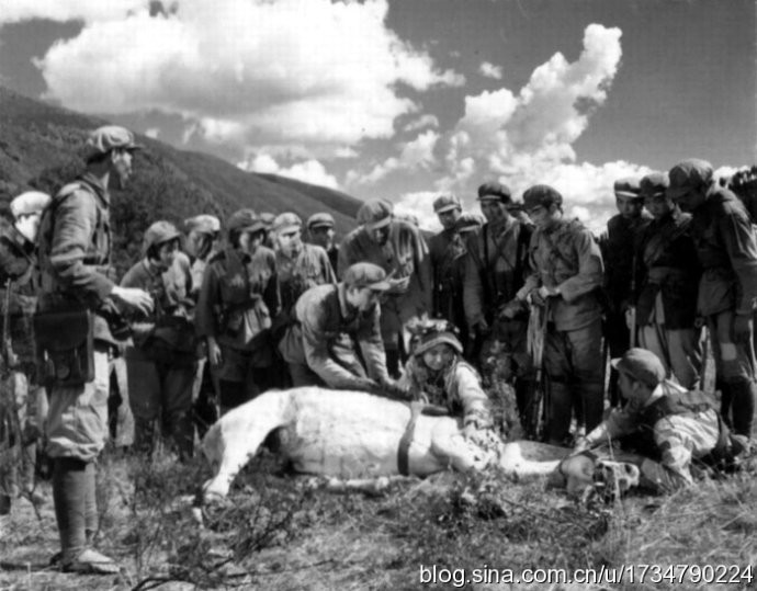 金沙江畔剧照的剧照