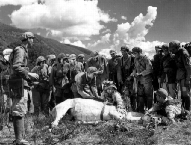 金沙江畔剧照的剧照