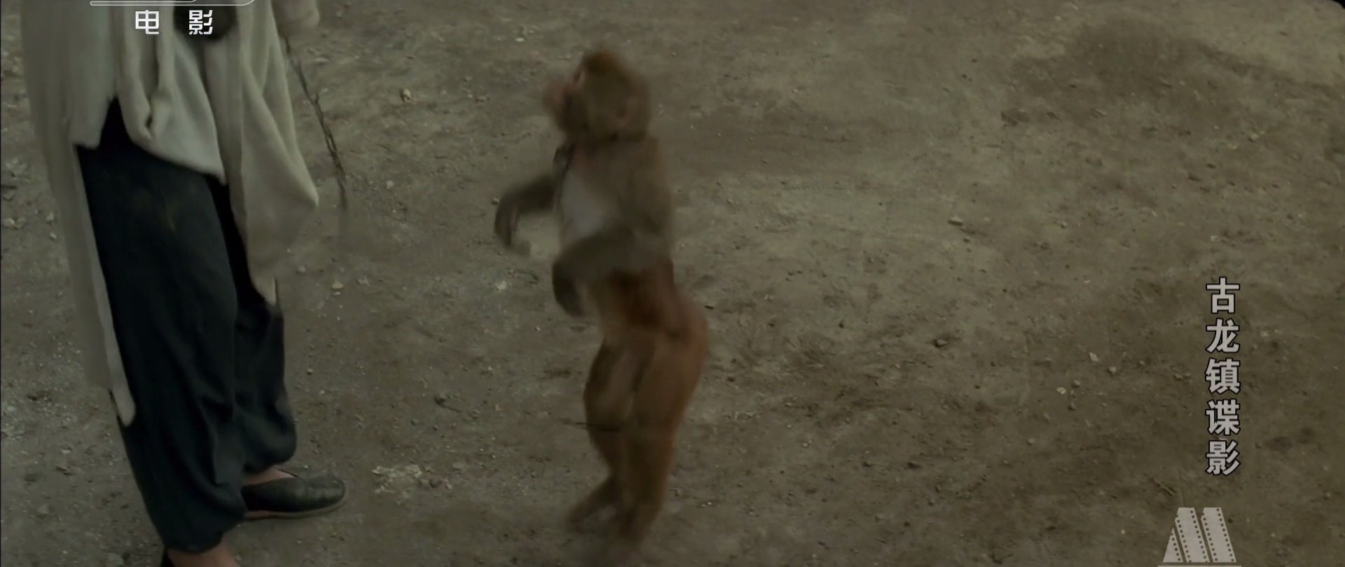 古龙镇谍影剧照的剧照