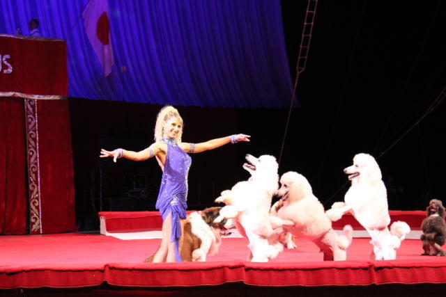 马达加斯加3剧照的剧照