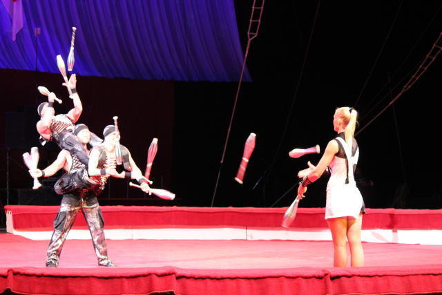 马达加斯加3剧照的剧照