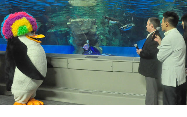 马达加斯加3剧照的剧照