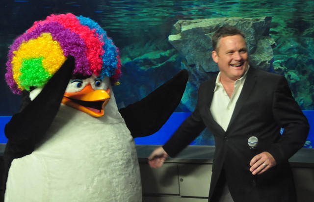 马达加斯加3剧照的剧照