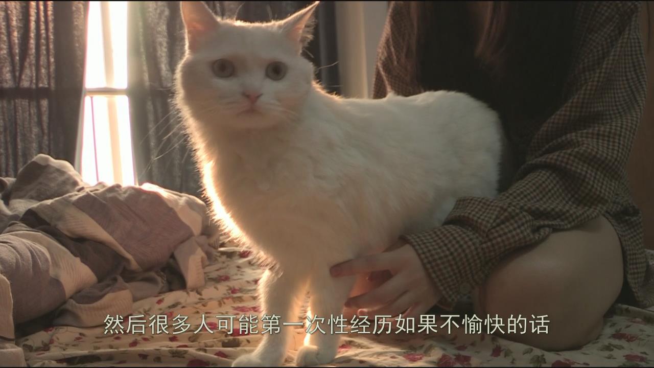 雨水丰沛的季节剧照的剧照