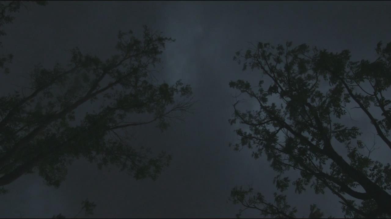 雨水丰沛的季节剧照的剧照