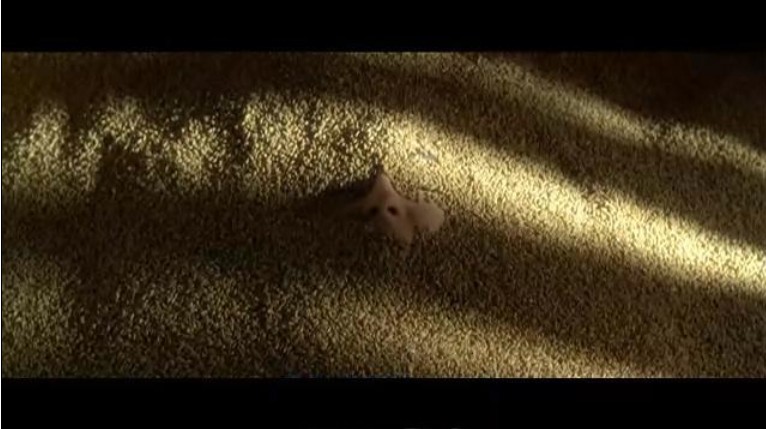 无声婚礼剧照的剧照